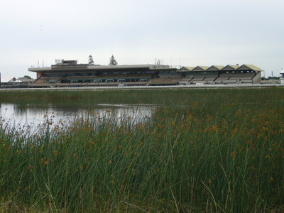 2011 12 006.jpg