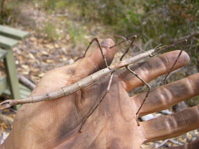 2011 12 022.jpg