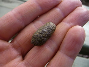 2011 6 012.jpg
