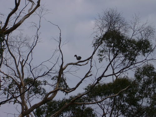 2011 7 019.jpg