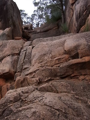 2012 4 flinders 019.jpg