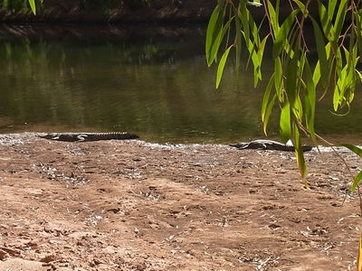 2012 5 067.jpg