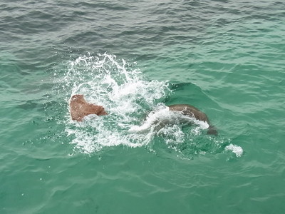 2012 5 127.jpg