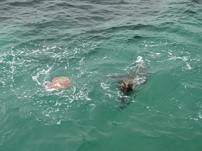 2012 5 128.jpg