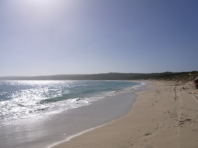 2012 5 Hamelin Bay.jpg