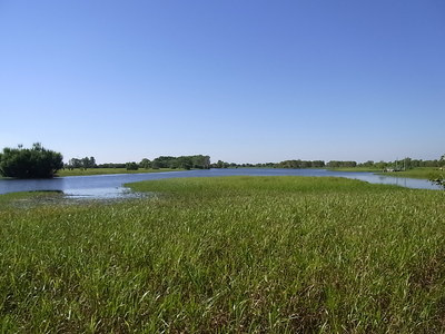 2012 6 006.jpg