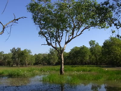 2012 6 023.jpg