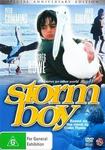 storm.jpeg