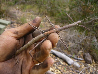 2011 12 025.jpg
