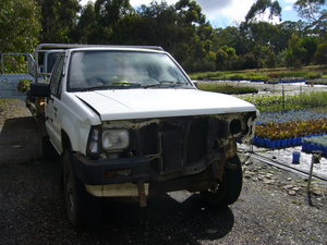 2011 7 041.jpg